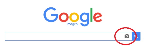 Google Image