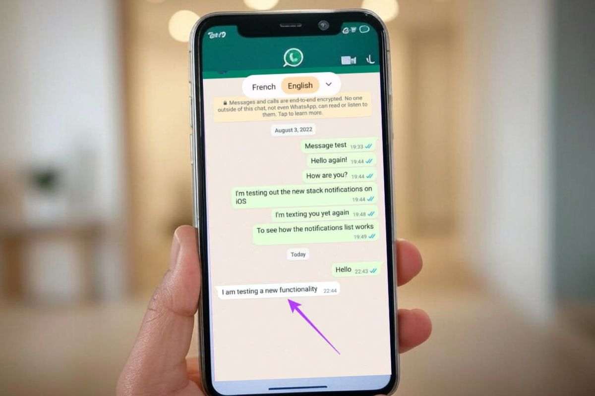 WhatsApp traduit enfin vos messages automatiquement